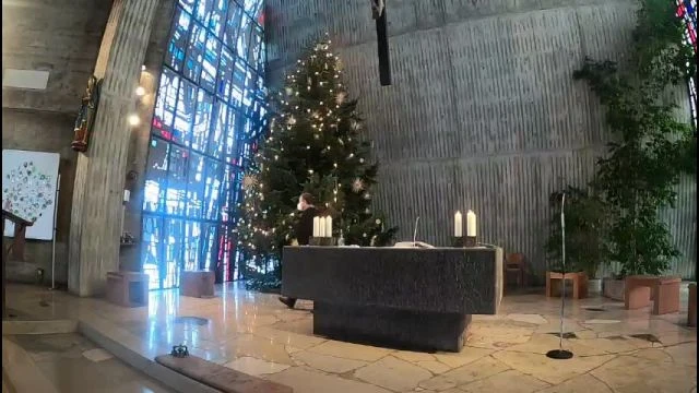 Livestream on 16-Jan-22-08:14:01